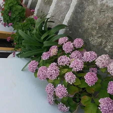 Appartamento Hill Seaside